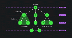 Визуализация структуры данных дерева, включая названиями элементов. У дерева четыре уровня. Оно начинается с корня, у него есть поддеревья с детьми, родителями, братьями и сёстрами.